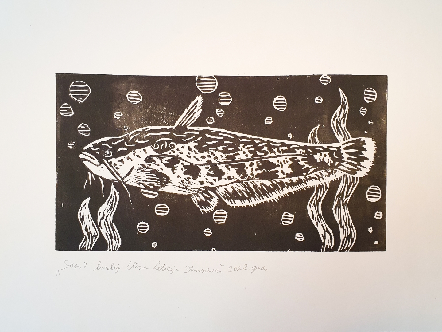 Attēls: Mākslas plenēra ietvaros tapušie darbi par zivīm