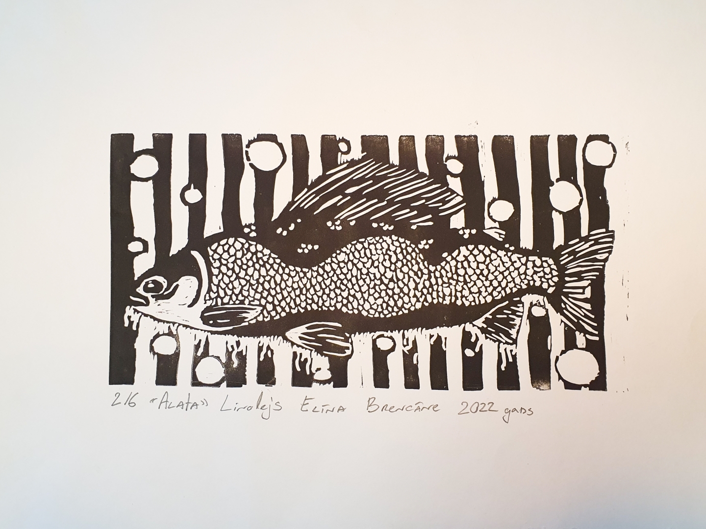 Attēls: Mākslas plenēra ietvaros tapušie darbi par zivīm