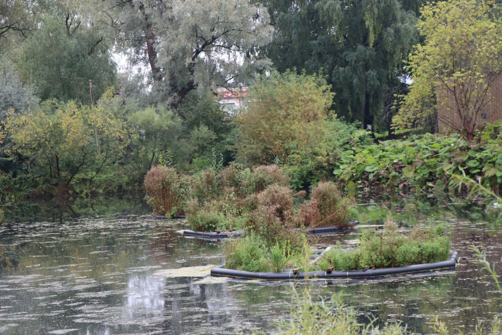 13.09.24. Rakvere, Biofloat projekta partneri