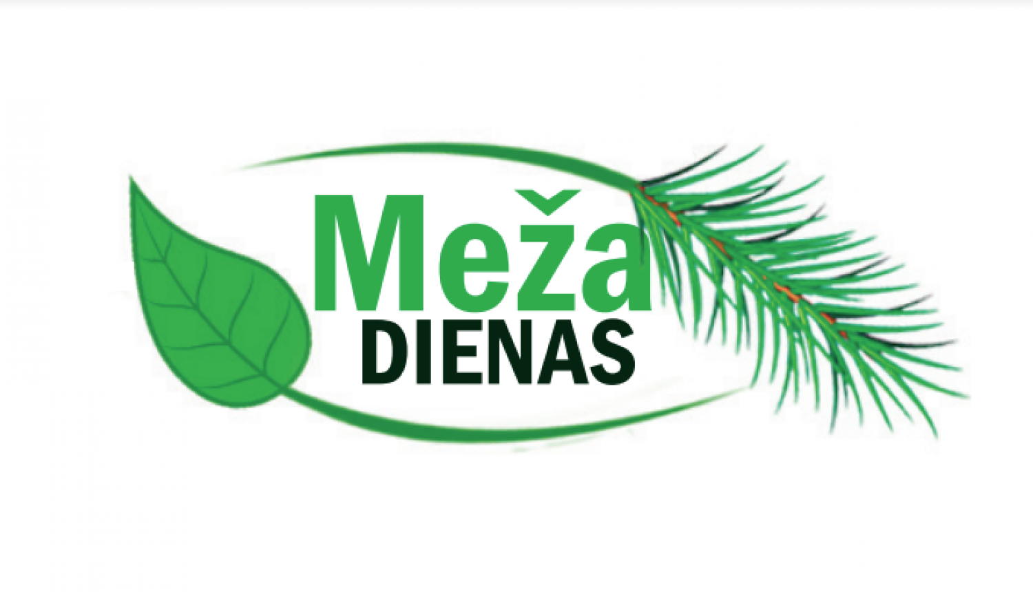 Attēls: Meža dienas 2024 Gulbenē