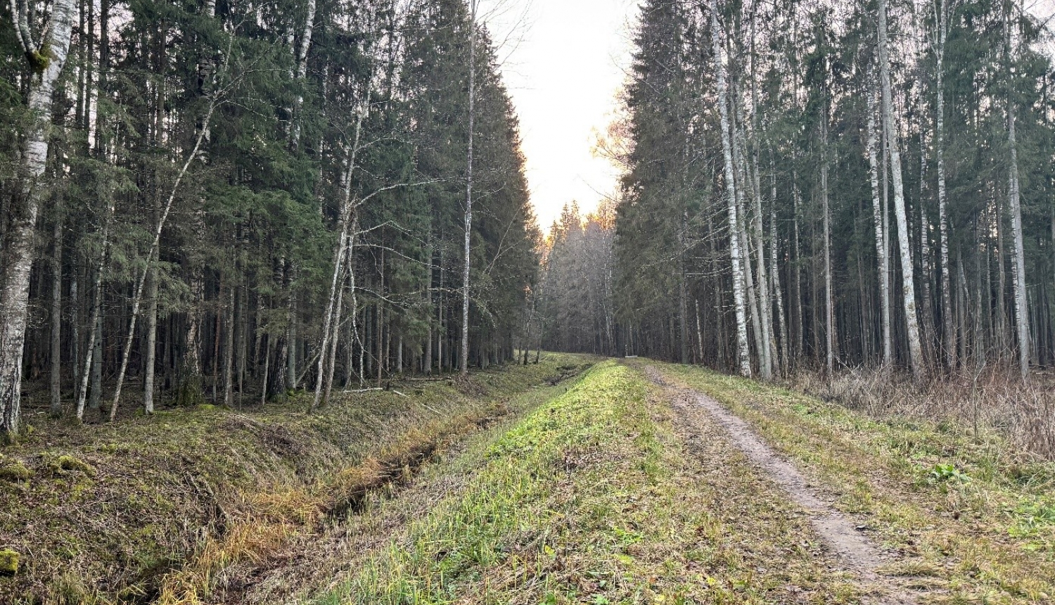 Attēls: Pabeigti kopšanas darbi Emzes parkā